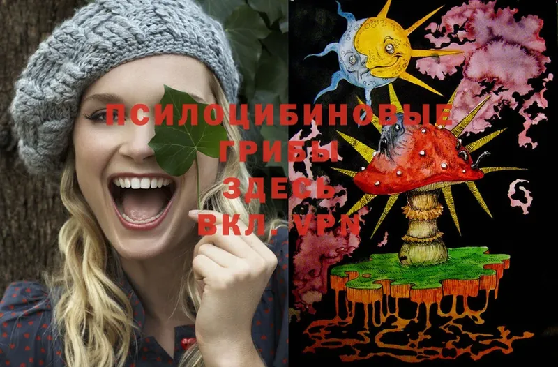 Галлюциногенные грибы MAGIC MUSHROOMS  Городец 